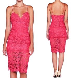 Bardot Hot Pink Lace Bodycon Midi Dress